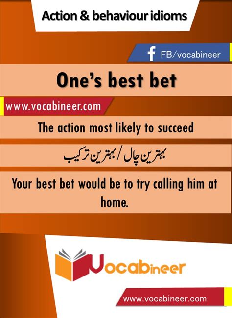 You Bet Urdu Meaning with Definition and Sentence(s).